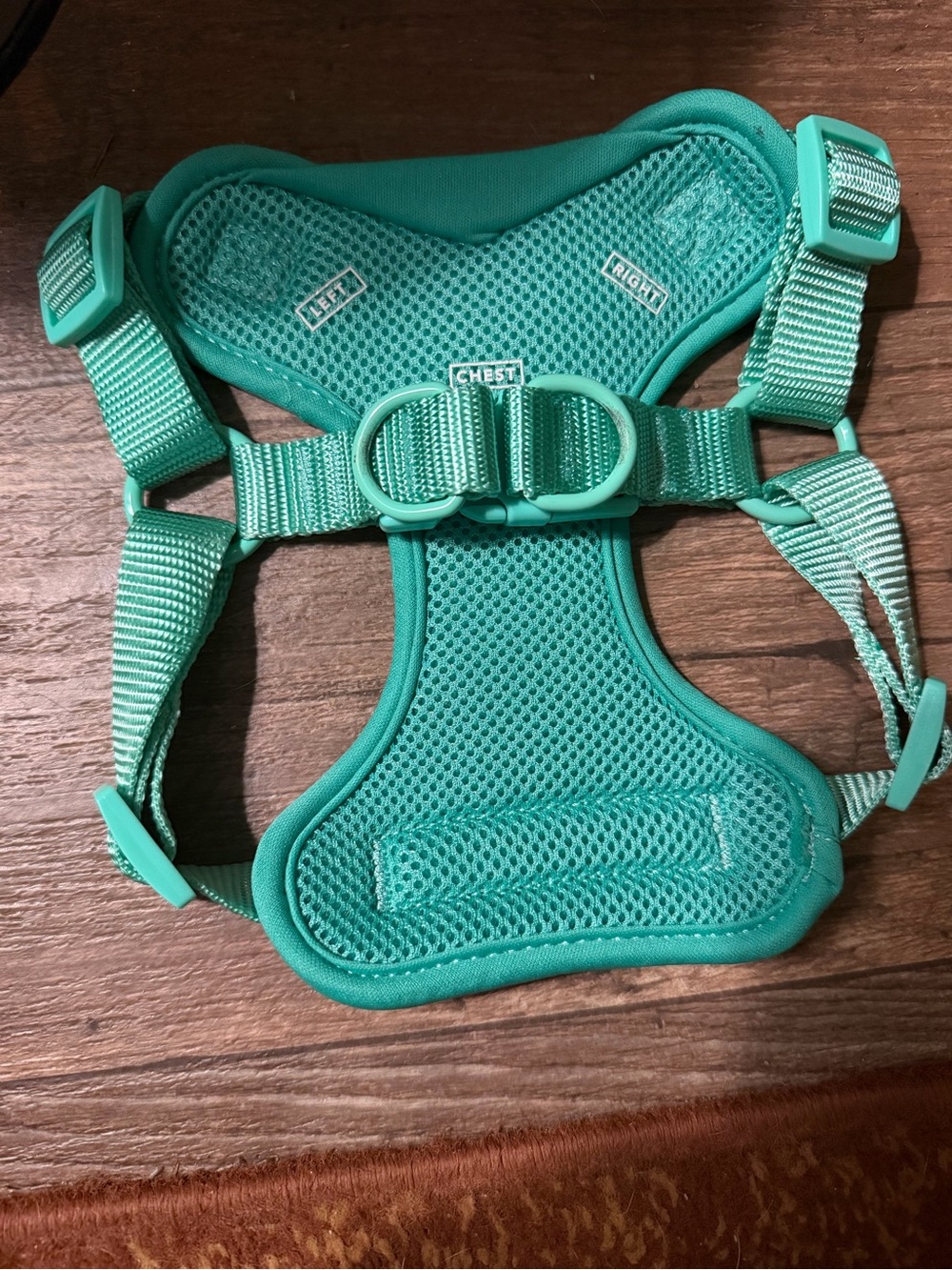 Dog harness